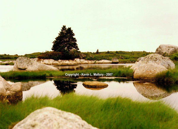 13 - Marshland on the Atlantic Coast - near Peggy's Cove, Nova Scotia 13 - Marshland on the Atlantic Coast - near Peggy's Cove, Nova Scotia