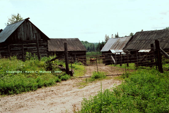 11 - A Farming Community - near Lac Dore, Ont 11 - A Farming Community - near Lac Dore, Ont