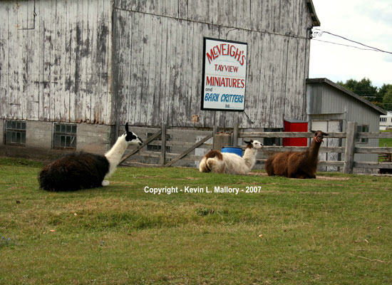 17 - Two's Company...But Three's a Crowd! 17 - Two's Company...But Three's a Crowd!
