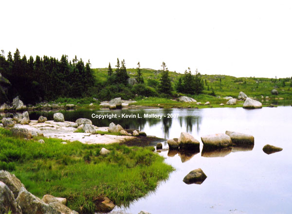 16 - Marsh and Forested Habitat Near Peggy's Cove, Nova Scotia 16 - Marsh and Forested Habitat Near Peggy's Cove, Nova Scotia