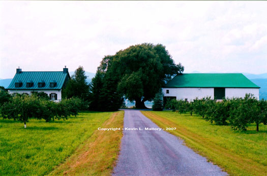 2 - Fruit Grower's Estate on Ile d' Orleans - Quebec 2 - Fruit Grower's Estate on Ile d' Orleans - Quebec