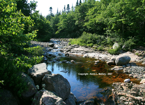 17 - Forest River & Rocky Shore - Margaree Valley - Cape Breton 17 - Forest River & Rocky Shore - Margaree Valley - Cape Breton