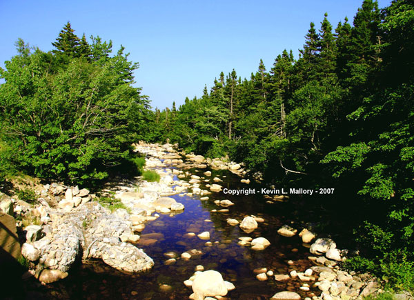 18 - The Beauty of the Margaree Valley Wilderness - Cape Breton 18 - The Beauty of the Margaree Valley Wilderness - Cape Breton
