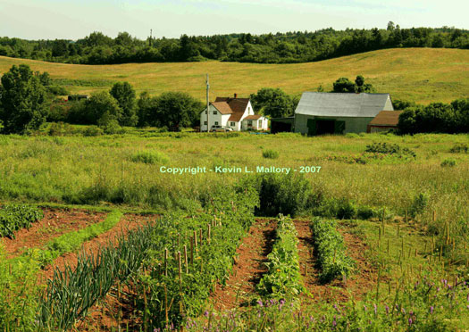 3 - AntIgonish Farm Homestead - Nova Scotia 3 - AntIgonish Farm Homestead - Nova Scotia