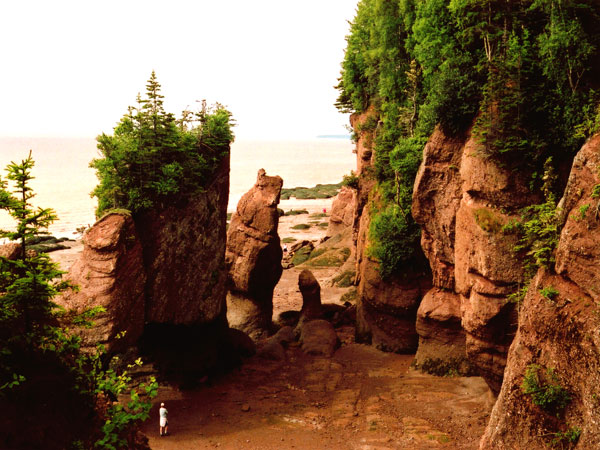 5 - The Flowerpot Rock Formations at Low Tide - Hopewell Provincial Park, New Brunswick 5 - The Flowerpot Rock Formations at Low Tide - Hopewell Provincial Park, New Brunswick