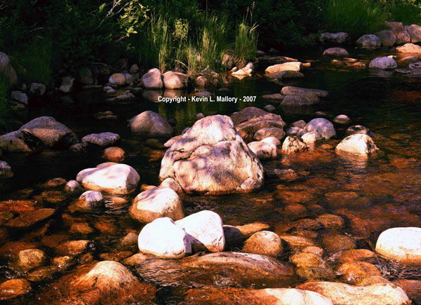 22 - Typical Reddish-Brown Stream in the Margaree Valley - Cape Breton 22 - Typical Reddish-Brown Stream in the Margaree Valley - Cape Breton