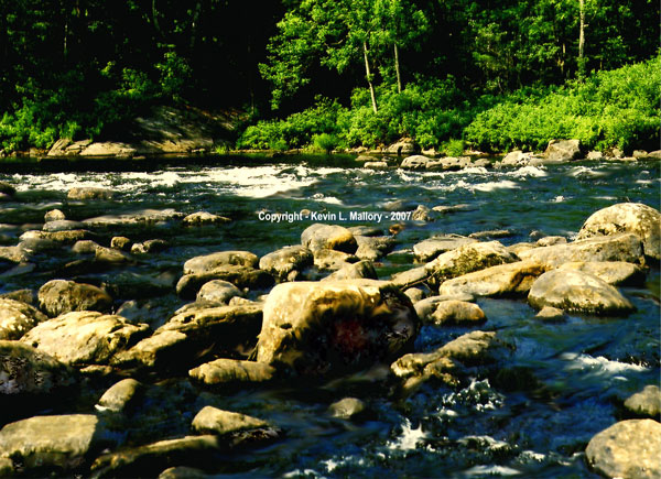 6 - Rocky Rapids in the Forest - past Algonquin Park, Ont 6 - Rocky Rapids in the Forest - past Algonquin Park, Ont