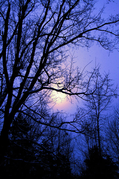 31 - Early Twilight at Dusk - Scotch Corners 31 - Early Twilight at Dusk - Scotch Corners