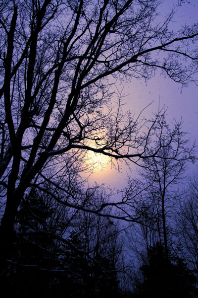 30 - The Winter Sunset at Dusk - Scotch Corners, Ont 30 - The Winter Sunset at Dusk - Scotch Corners, Ont