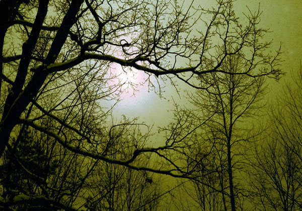 32 - The Full Moon and Amber Skies - Scotch Corners, Ont 32 - The Full Moon and Amber Skies - Scotch Corners, Ont