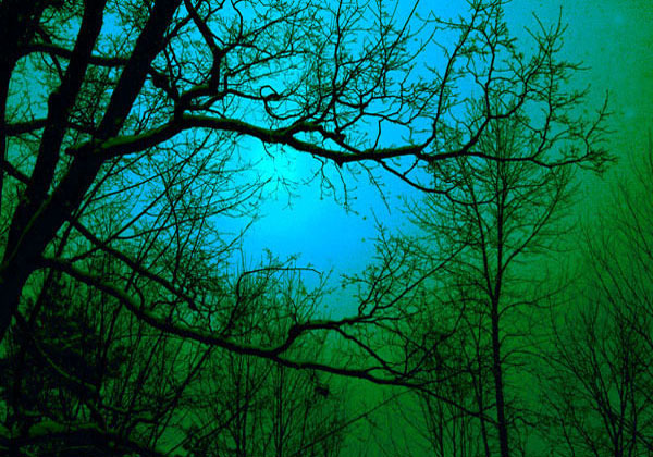 33 - Once in a Blue Moon - Scotch Corners, Ont 33 - Once in a Blue Moon - Scotch Corners, Ont