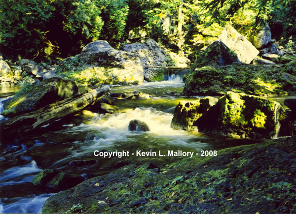 45 - Brilliant Light on the Sydenham River - near Owen Sound, Bruce Peninsula, Ont 45 - Brilliant Light on the Sydenham River - near Owen Sound, Bruce Peninsula, Ont